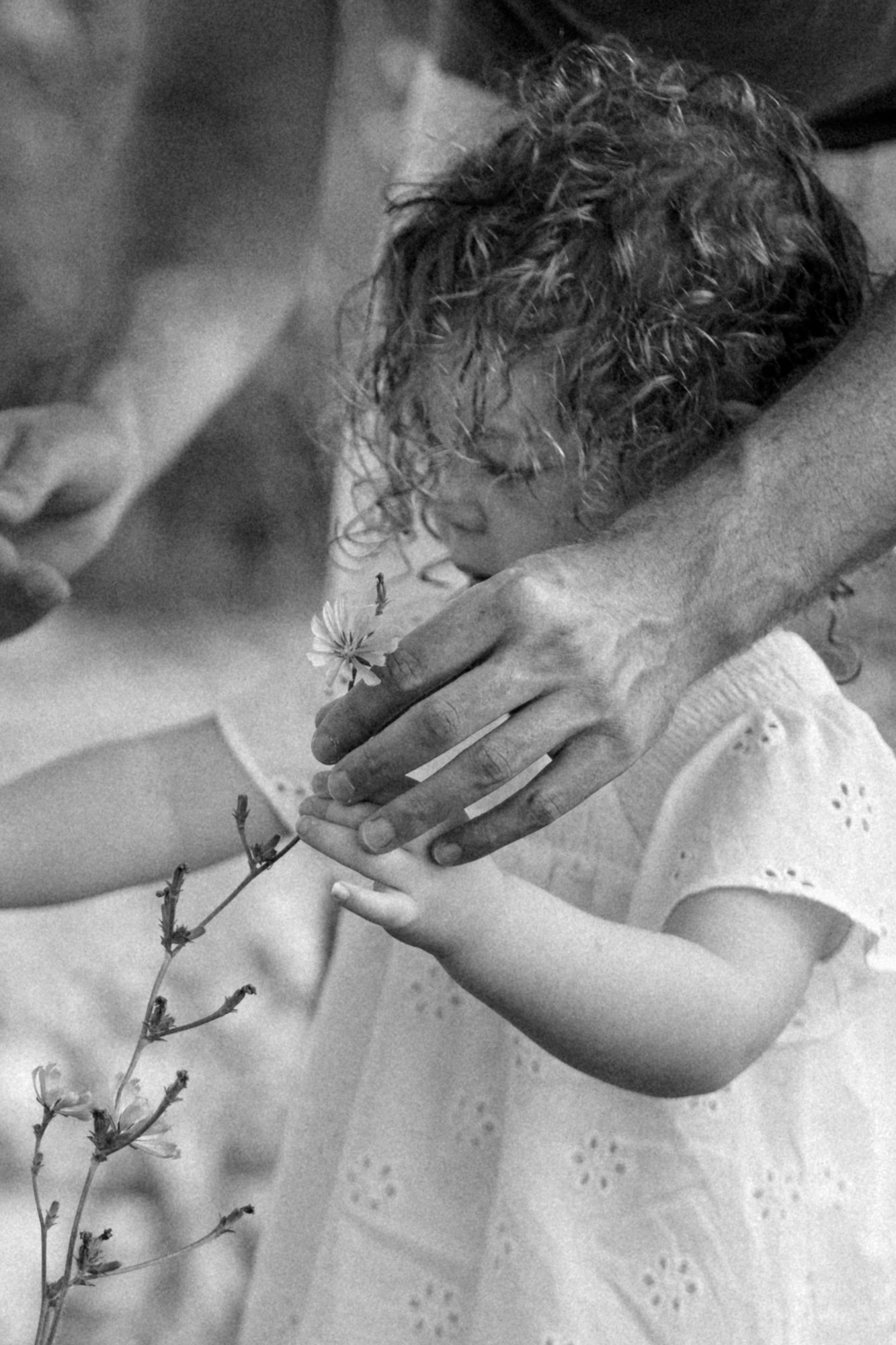 Kinderhand und Elternhand mit Wildblume, schwarz-weiß
